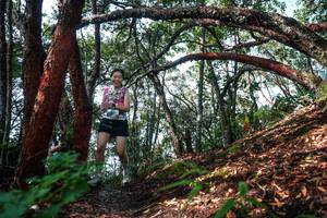 BIB: 
                            <button type="button" onclick="openModal(26345848)" class="btn btn-primary btn-sm float-right btn-popup" data-toggle="modal" data-target=".modal-high-quality">
                        <i class="fas fa-shopping-cart"></i> Add to Cart
                    </button>
                                            <button type="button" onclick="isThisMe(26345848, true)" class="btn btn-success btn-sm float-right btn-popup btn-isme hidden" data-toggle="tooltip" data-placement="bottom" title="นี่คือรูปของคุณใช่ไหม คลิกที่นี่เพื่อเอาเข้าอัลบั้ม">
                        <i class="fas fa-plus"></i> Add to album
                    </button>
                    <button type="button" onclick="isThisMe(26345848, false)" class="btn btn-warning btn-sm float-right btn-popup btn-isnotme hidden">
                        <i class="fas fa-ban"></i> Remove from album
                    </button>